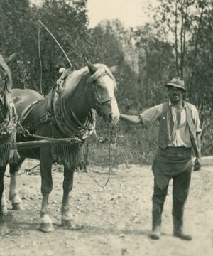 Historia de la empresa